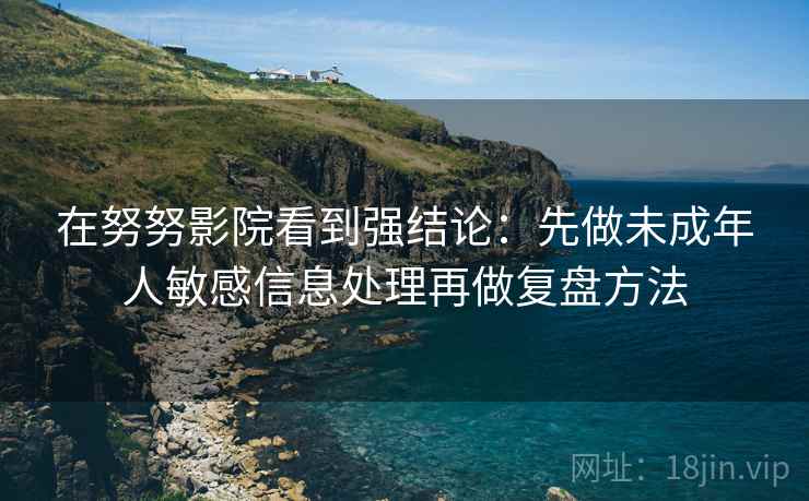 在努努影院看到强结论：先做未成年人敏感信息处理再做复盘方法