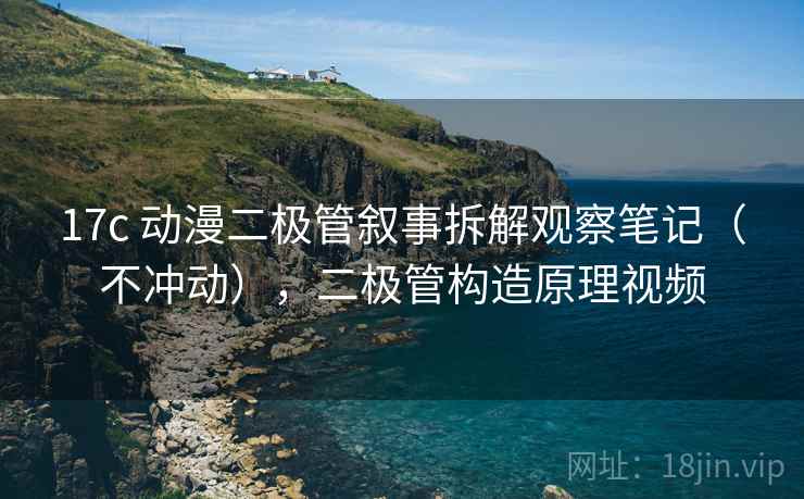 17c 动漫二极管叙事拆解观察笔记（不冲动），二极管构造原理视频