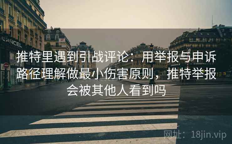 推特里遇到引战评论：用举报与申诉路径理解做最小伤害原则，推特举报会被其他人看到吗
